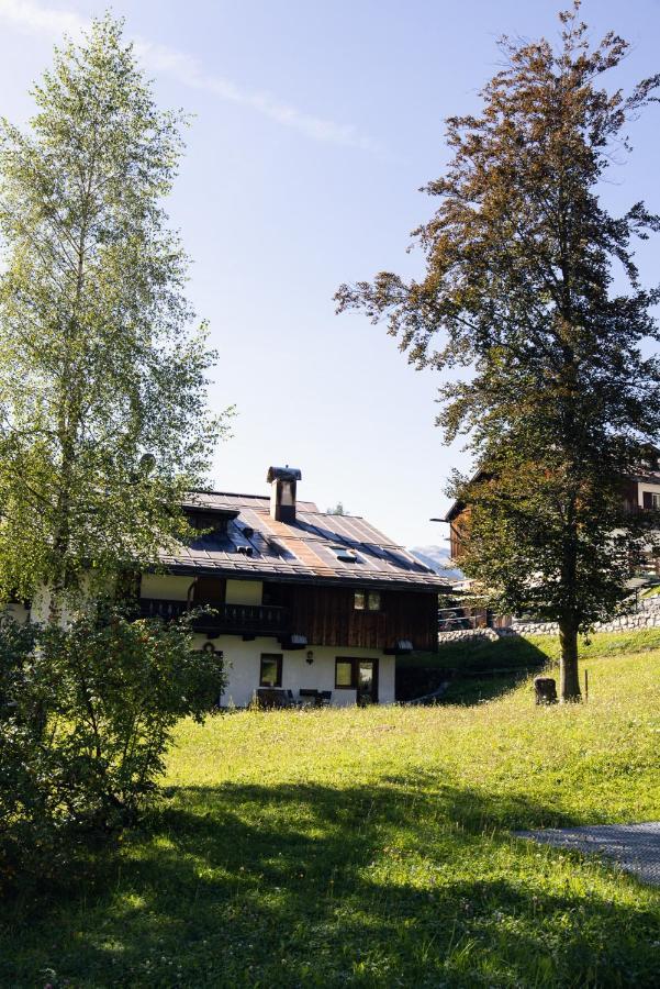 Casa Betulla Apartment Кортина д'Ампецо Екстериор снимка